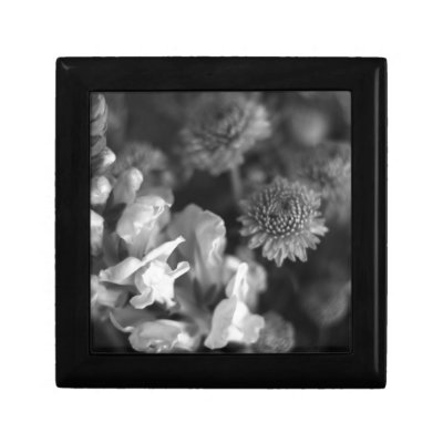 Buy indoor plants gifts - plants Gift Boxes