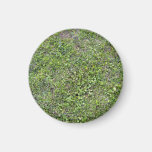 Plants Growing On Green Grassy Landscape Fridge Magnet