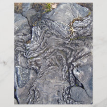 Plants Growing On Lava Rocky Surface Flyer Design