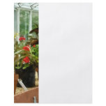 Plants in Greenhouse Full Color Flyer