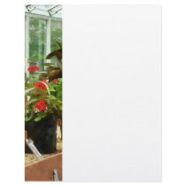 Plants in Greenhouse Personalized Letterhead