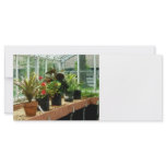 Plants in Greenhouse Rack Card Template