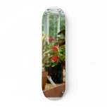 Plants in Greenhouse Skate Board