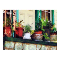 Plants on Porch posters
