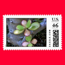 Plants postage