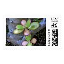 Plants postage