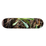 Plants Sprouts Dirt Skate Board