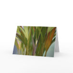 Plant's view cards