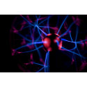 Plasma Ball 4678 Fine Art Photography Print print