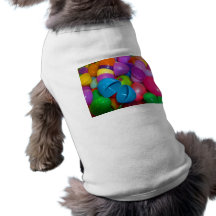 Plastic Easter Eggs Blue One Open Photograph Pet Clothing