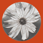 plastic, flower, sticker, grey, effect, filter,