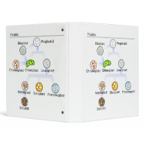 Plastids Binder