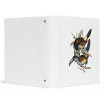Plate-billed Mountain Toucan Vinyl Binders