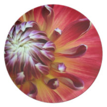 Plate - Customized