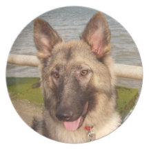 Plate German Shepherd By The Sea