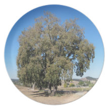 Plate: Rural Oaks in Paso Robles, California