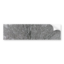 Platinum Branches Bumper Stickers