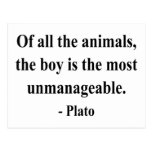 Plato Quote 4a Postcards