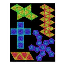 Platonic Solids Templates with Reaction-Diffusion posters