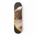 platyhands skateboards by joshman0900 platyhands skateboards