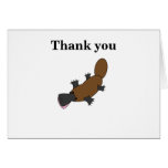 Platypus Cards