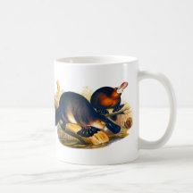 Platypus Coffee Mug