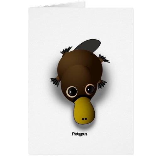 platypus greeting cards