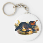 ty platypus keychain