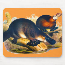Platypus Mouse Pads