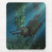 Platypus Mousepads