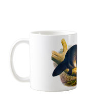 Platypus Coffee Mugs