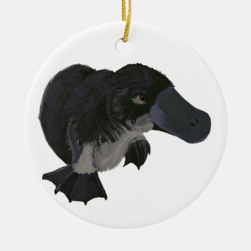 platypus ornament zazzle platypus ornament zazzle