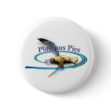 Platypus Pictures buttons by Platypie Platypus Pictures buttons