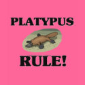 PLATYPUS Rule! t-shirts by AnimalShirts PLATYPUS Rule! t-shirts