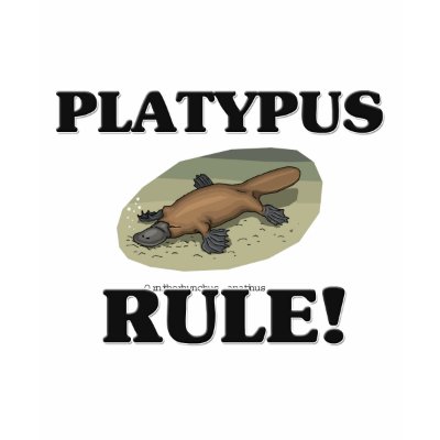 platypus_rule_tshirt-p235916349976619918qmej_400.jpg