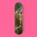 Platypus skateboards by hadronator Platypus skateboards