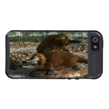 Platypuses Cases For iPhone 5