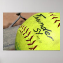 Play Ball! Poster