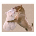 Play Fighting Rescue Puppy Dogs posters by beverlytazangel Play Fighting Rescue Puppy Dogs posters