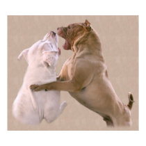 Play Fighting Rescue Puppy Dogs posters by beverlytazangel Play Fighting Rescue Puppy Dogs posters