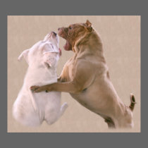 Play Fighting Rescue Puppy Dogs posters