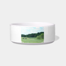 Play Golf Cat Bowls