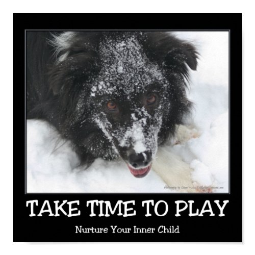 Play Motivational Poster Snowy Border Collie print