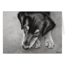 Play with me Dog Greeting Card cards