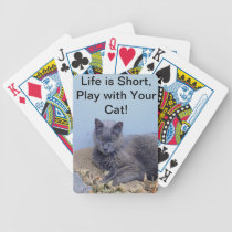 Play with Your Cat Deck playing cards
