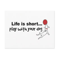 Play with Your Dog Postcard