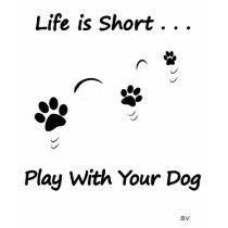 Play With Your Dog t-shirts