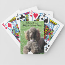 Play with Your Poodle Deck playing cards