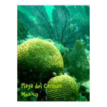 Playa del Carmen posters by davguz Playa del Carmen posters