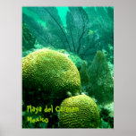 Playa del Carmen Print